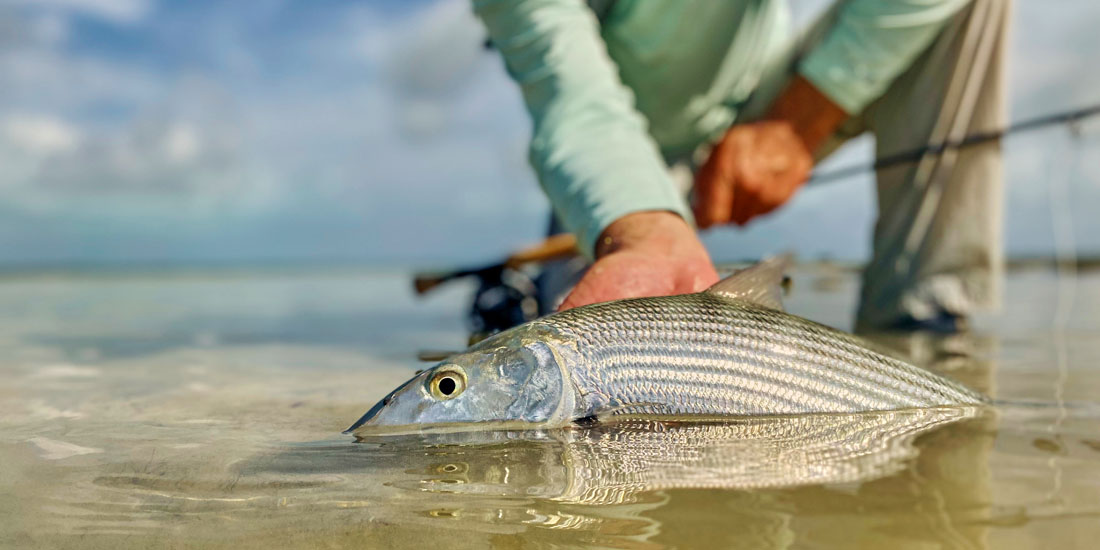 Fliegenfischen Acklins Bahamas