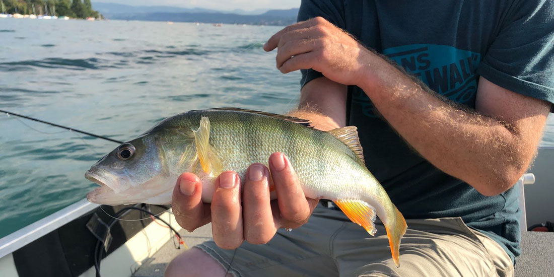 Zürichsee Guiding-Egli