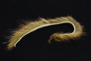 Zonkerstrip Muskrat 2,5 mm-588