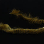 Barred Rabbit Strips - black barred olive variant