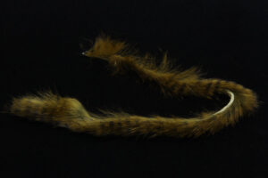 Barred Rabbit Strips-532