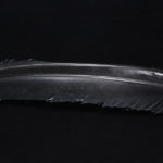 Turkey Biot Quills - black