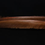 Turkey Biot Quills - brown