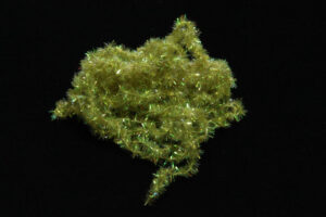 Cactus Chenille-1127
