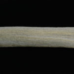 EP Fibers 3D - menhaden