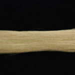 EP Fibers 3D - mutton snapper