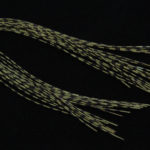 Grizzly Barred Rubber Legs - olive