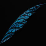 Lady Amherst Center Tail - kingfisher blue