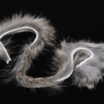 Rabbit Strips - chinchilla