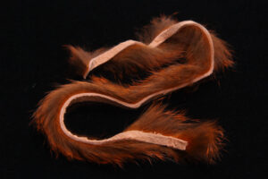 Rabbit Strips-603