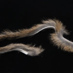 Rabbit Strips - grizzly