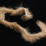 Rabbit Strips - sand variant