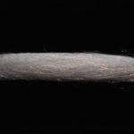 H2O Steve Farrar's SF Flash Blend - grey
