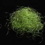 Senyo's Shaggy Dub - olive