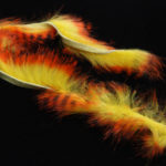 Tiger Barred Rabbit Strips - black orange over yellow