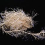 UV Polar Chenille - uv gold
