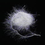 UV Polar Chenille - uv pearl