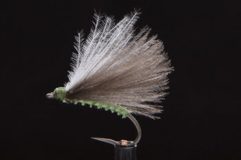 F-Fly caddis green-0