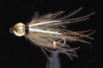 CDC Prince Nymphe-1120