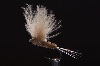 CDC Dun brown-0