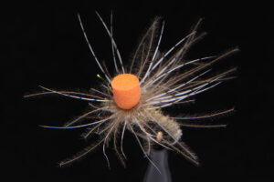 CDC Klinky callibaetis-1474