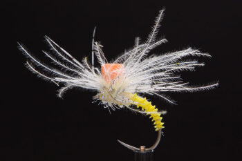 CDC Klinky light cahill-0