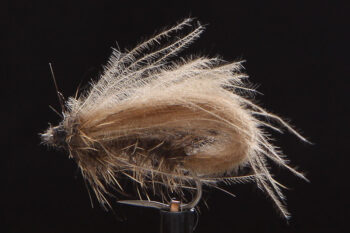 CDC Loop Wing Caddis brown-0