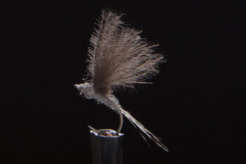CDC Micro Dun natural-0