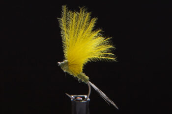 CDC Micro Dun olive-0