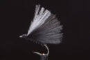 F-Fly black-0