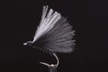 F-Fly black-0