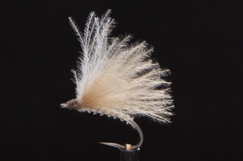 F-Fly callibaetis-0