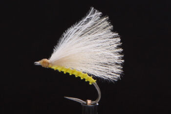 F-Fly light cahill-0