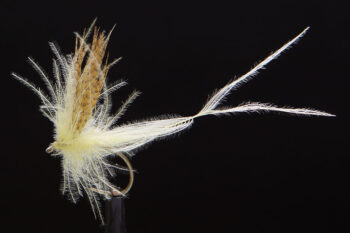 Mayfly Acolin yellow-0