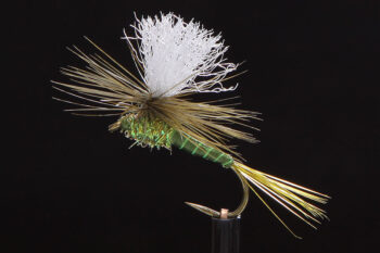 Parachute olive