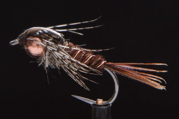 Pheasant Tail Variant-0