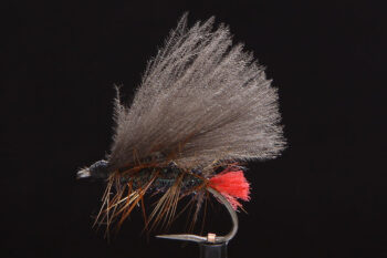 Red Tag CDC Caddis-0