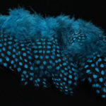 Strung Guinea Feathers - silver doctor blue