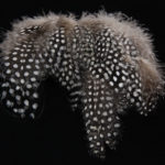 Strung Guinea Feathers - natural