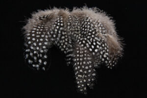 Strung Guinea Feathers-1368