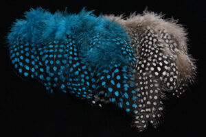 Strung Guinea Feathers-0