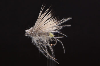 Yellow Ass Caddis-0