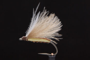 CDC Biot Caddis yellow-0
