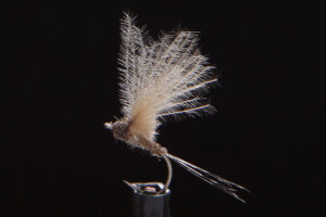 CDC Micro Dun brown-0