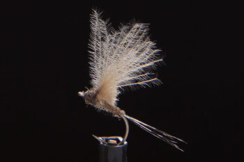 CDC Micro Dun brown-0