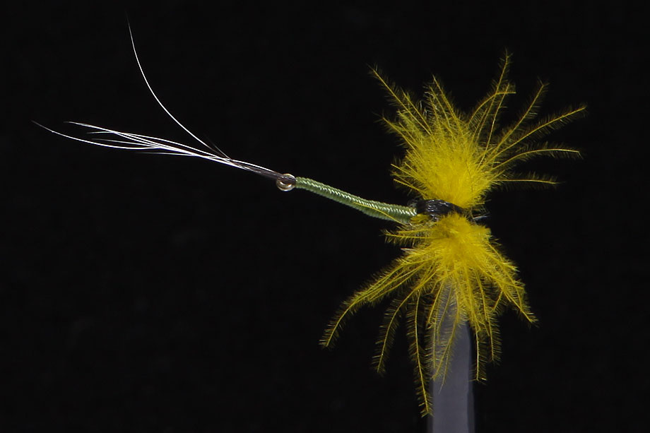 Mayfly "R" Spent olive-0