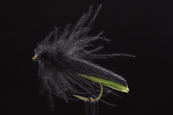 Popolino Supa Sedge green-0