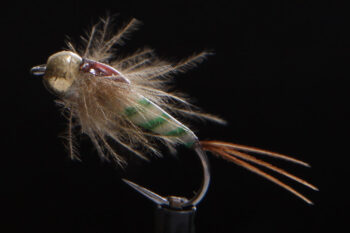 UV CDC Nymph olive-1582