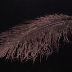 Ostrich Herl - brown