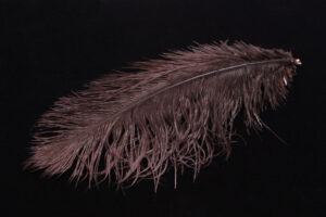 Ostrich Herl-1722